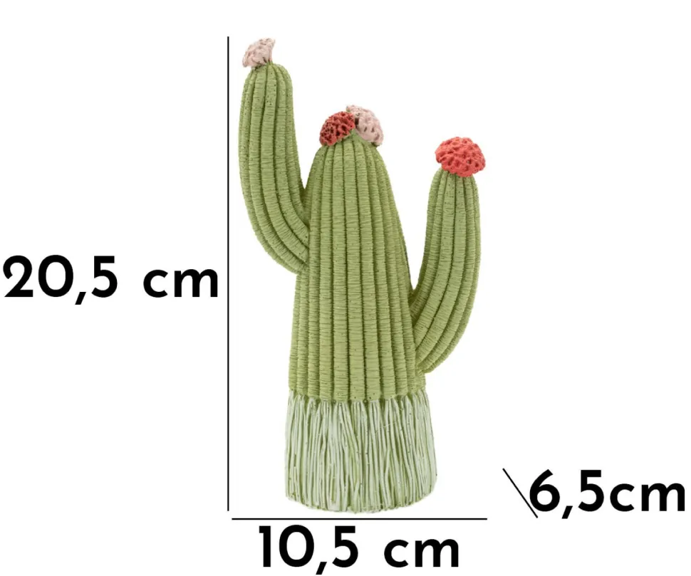 Cactus Stons décoratif avec fleurs colorées vert