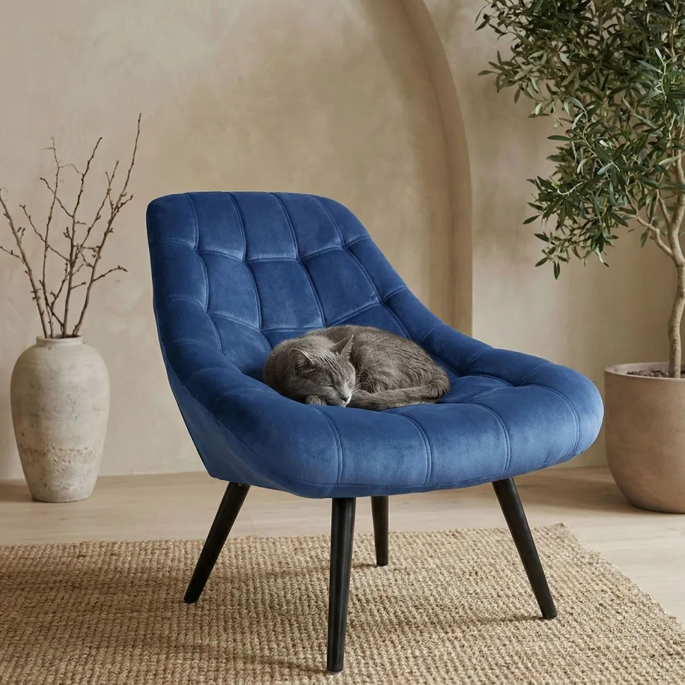 Fauteuil Danios Velours Bleu