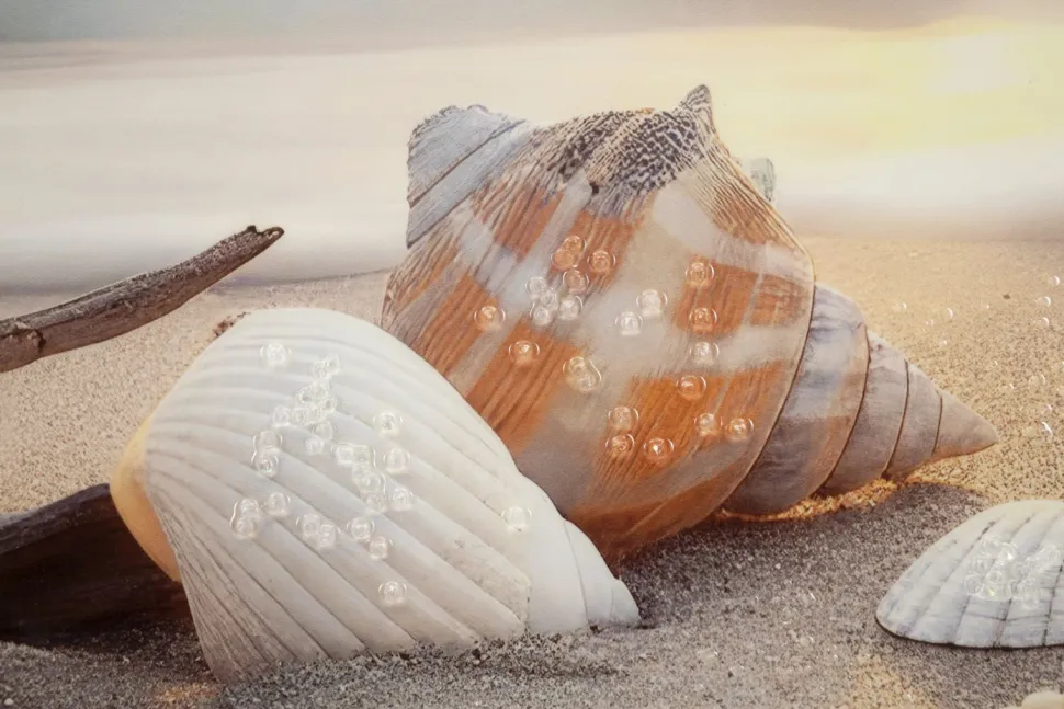 Impression sur toile Laquée Plage cadre bois