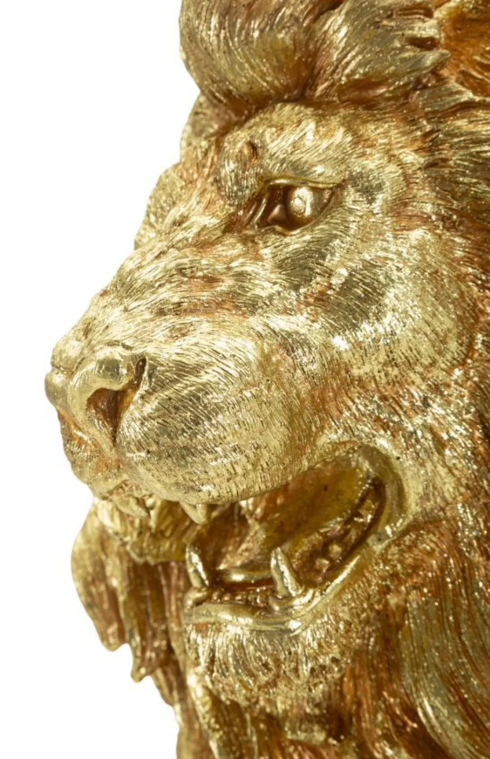 Lion Shant finition Dorée