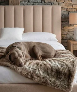 Lit Coffre Songe + Sommier Tissu Beige 180cm