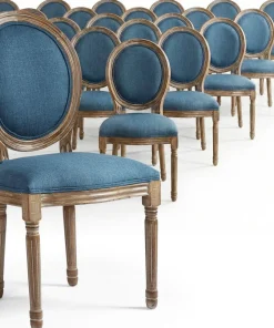 Lot de 20 chaises de style médaillon Louis XVI Tissu Bleu