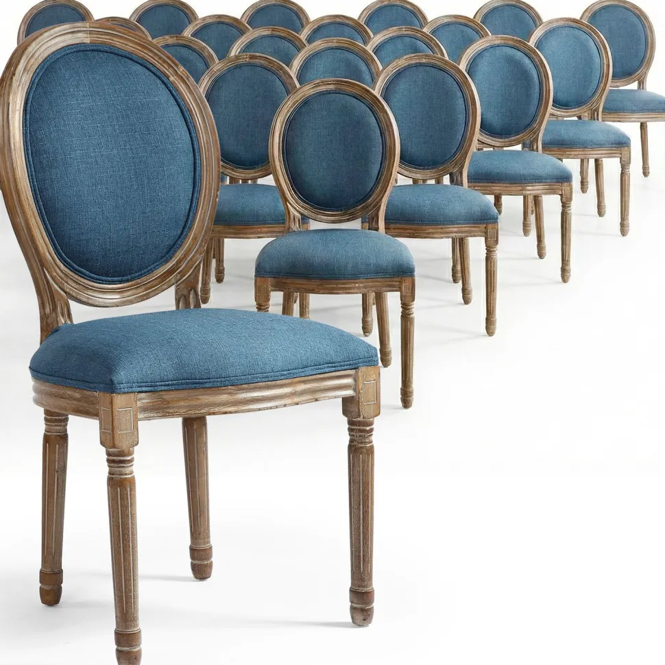 Lot de 20 chaises de style médaillon Louis XVI Tissu Bleu