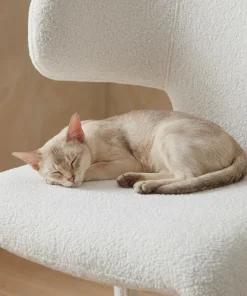 Lot de 2 chaises design dossiers arrondis Cotony Tissu bouclette Blanc