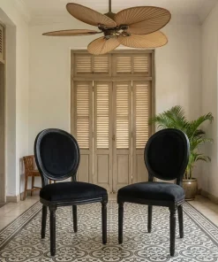 Lot de 2 chaises médaillon Louis XVI Black Bois massif et Velours Noir