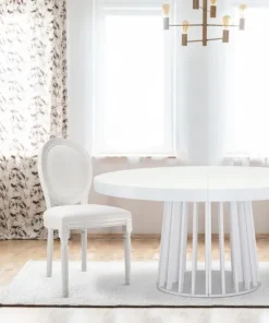 Lot de 20 chaises médaillon Louis XVI Simili (P.U) Blanc
