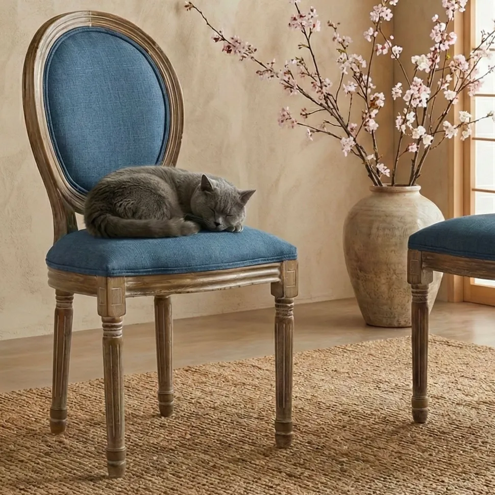 Lot de 2 chaises médaillon Louis XVI Bois massif patiné et Tissu Bleu