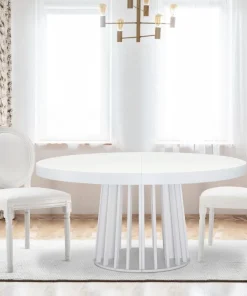 Lot de 2 chaises médaillon Louis XVI Bois massif et Simili (P.U) Blanc