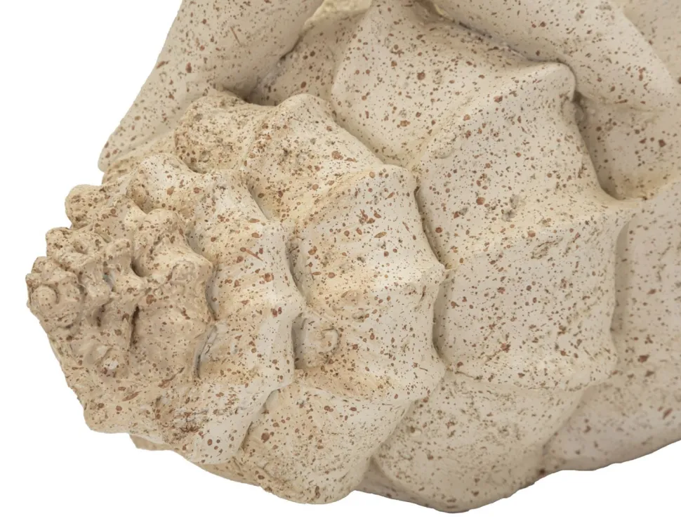 Objet décoratif en coquillage et étoile de mer finition Sable naturel