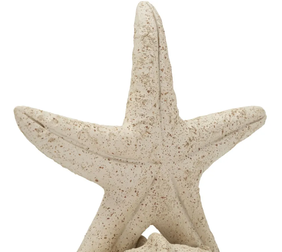Objet décoratif en coquillage et étoile de mer finition Sable naturel