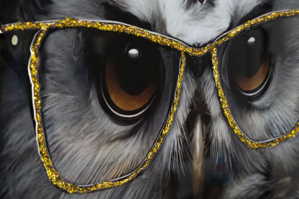 Peinture sur toile Chouette lunettes dorées cadre en bois et métal argenté