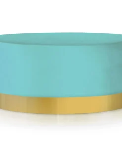 Pouf Rond Daisy Velours Menthe Pied Or