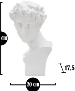 Sculpture tête masculine Renaissance Florentine Polyrésine Blanc