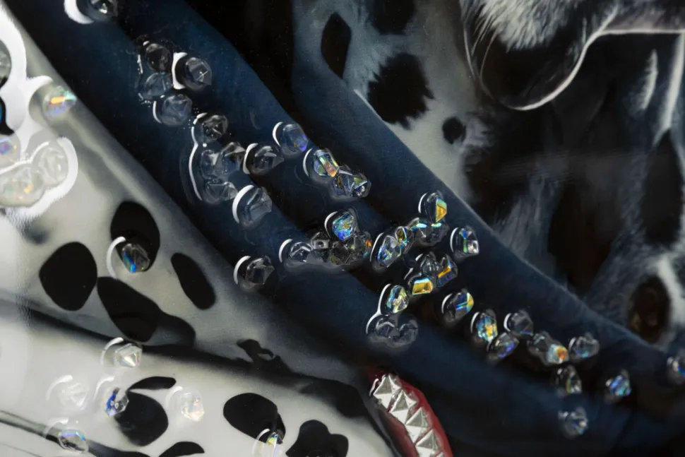 Tableau mural Chien Dalmatien encadré Bois massif et Métal argenté