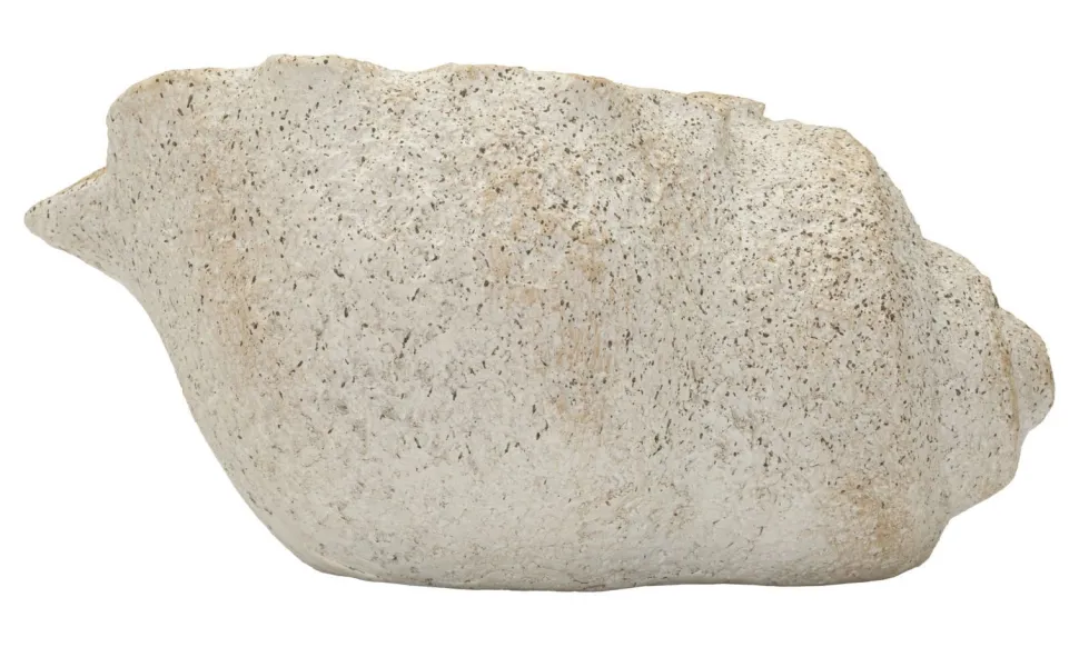 Vase Sable Coquillage