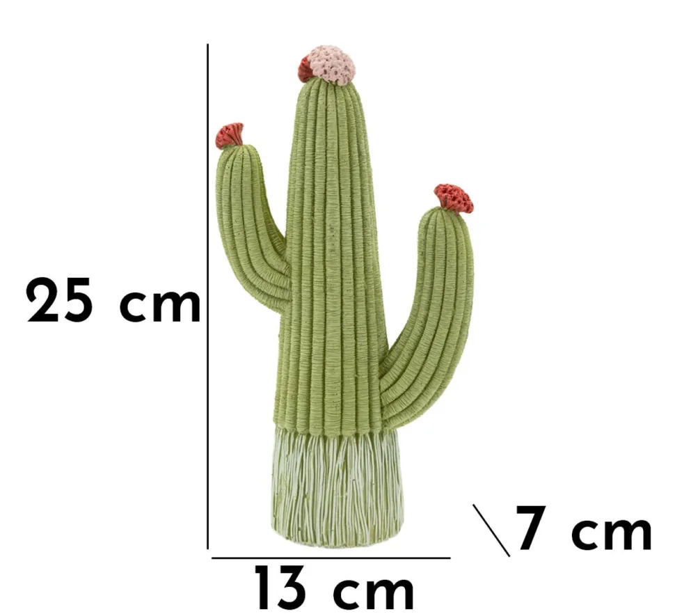 Végétation décorative Cactus Stons vert avec fleurs colorées