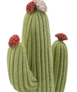 Végétation décorative Cactus Stons vert avec fleurs colorées